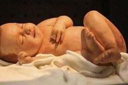 河北三代试管婴儿价格是多少？对每个人都一样吗？