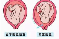 2026年济南三代试管医院的价格费用要多少钱？