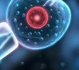 amh低于2只有0.18做试管婴儿有成功的可能吗？