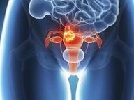 沈阳地区有哪些私立的机构可以做试管技术？有8个基础卵泡的情况下amh一般是多少才不是多囊？