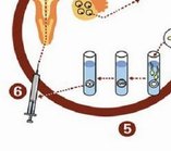 做试管hcg翻倍不好怎么办？还能保胎吗？