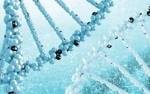 冻胚移植需要达到什么条件？