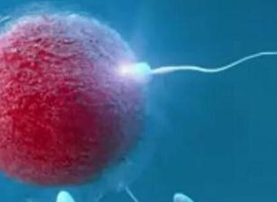 子宫纵隔生育困难可以在尚志市做三代试管吗？子宫有问题做试管的成功率高吗？