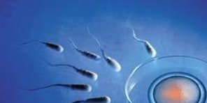 试管促排打塞增的作用有哪些？