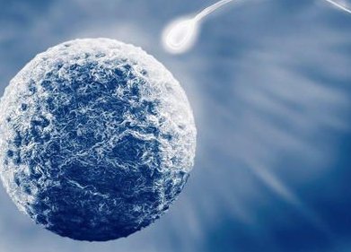 多囊做试管能成功吗，多囊做试管的风险预防及成功几率